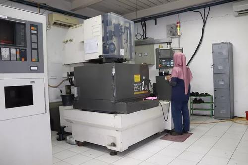 Wirecut Machine